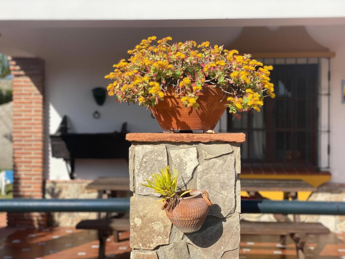 Casas Guemon Guest House Zahora Ngoại thất bức ảnh